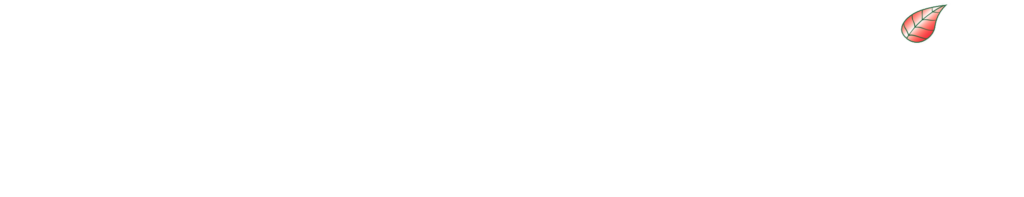 Braxton's Landscape & Lawn Care