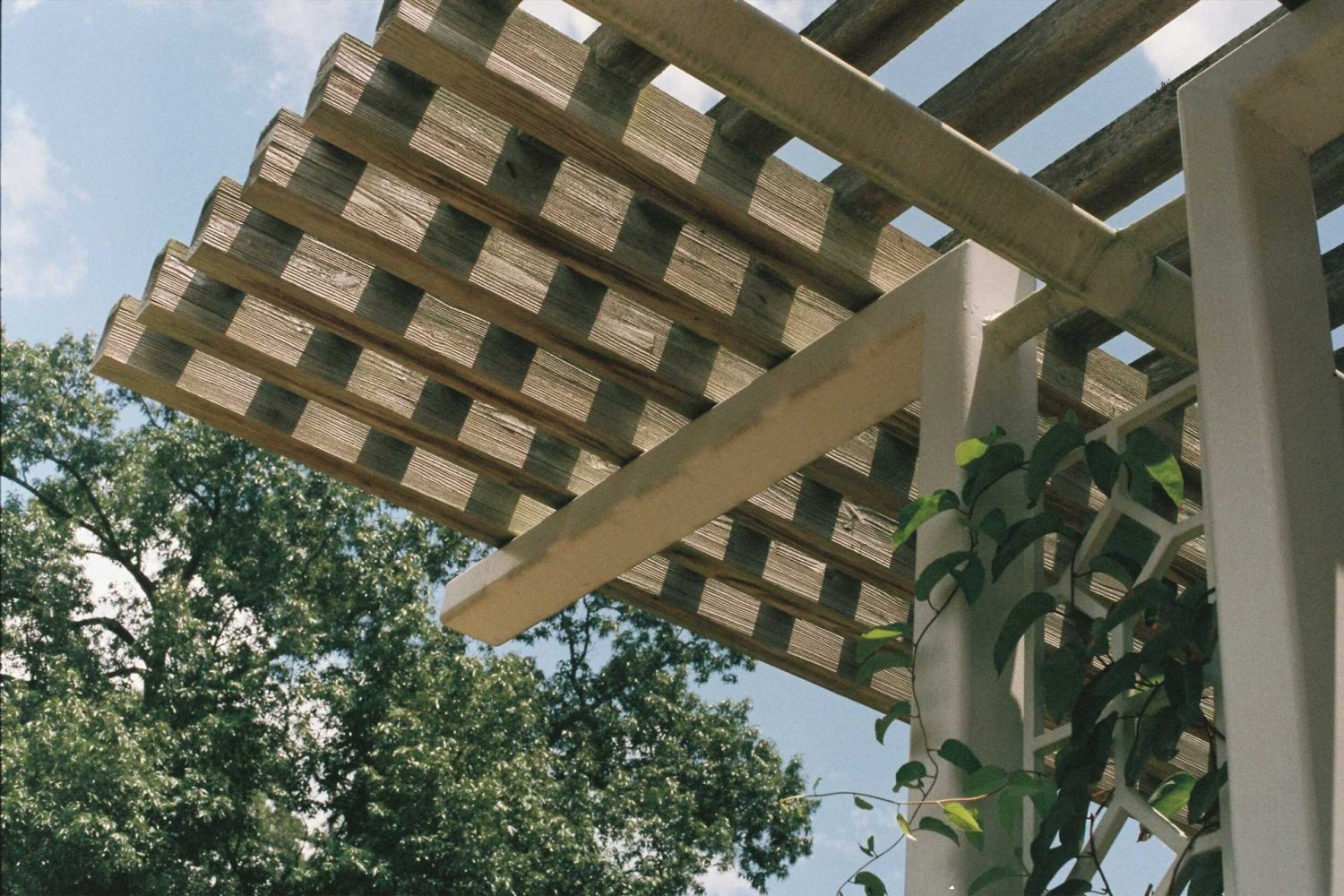 Arbors & Pergolas